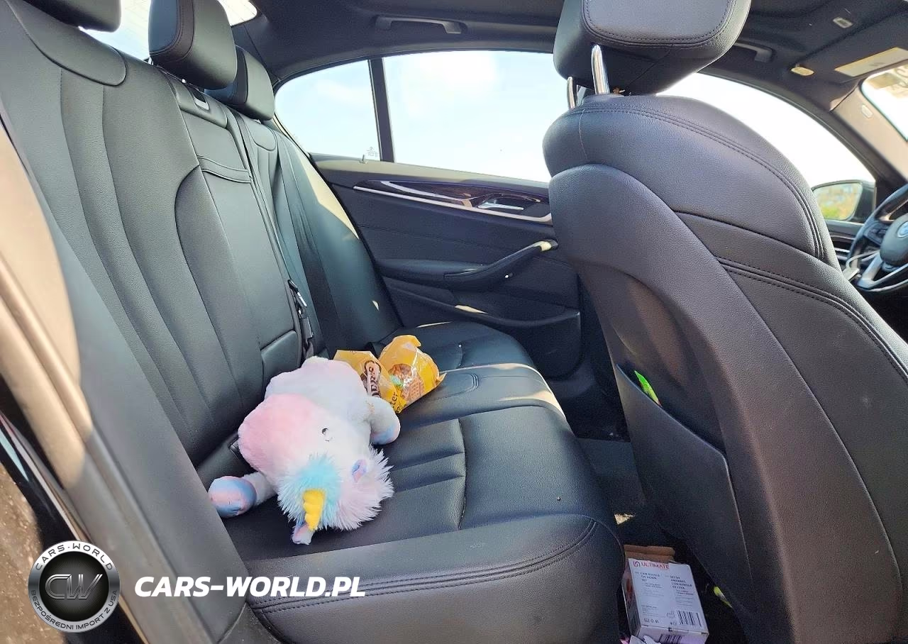 2019 BMW 530 Xi VIN:WBAJA7C52KG910158 - 10