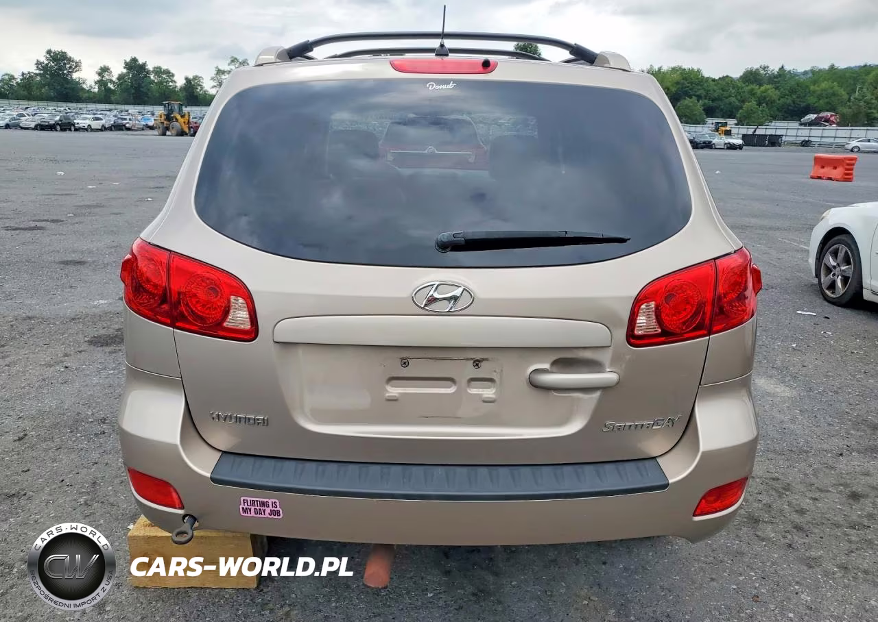 2007 Hyundai Santa Fe Se VIN:5NMSH13E77H023896 - 6