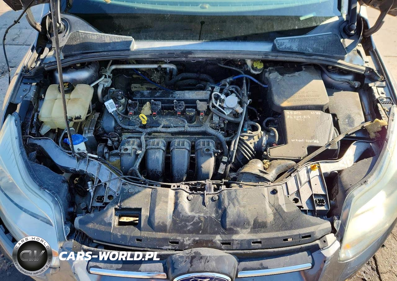 2014 Ford Focus Se VIN:1FADP3K22EL431027 - 11