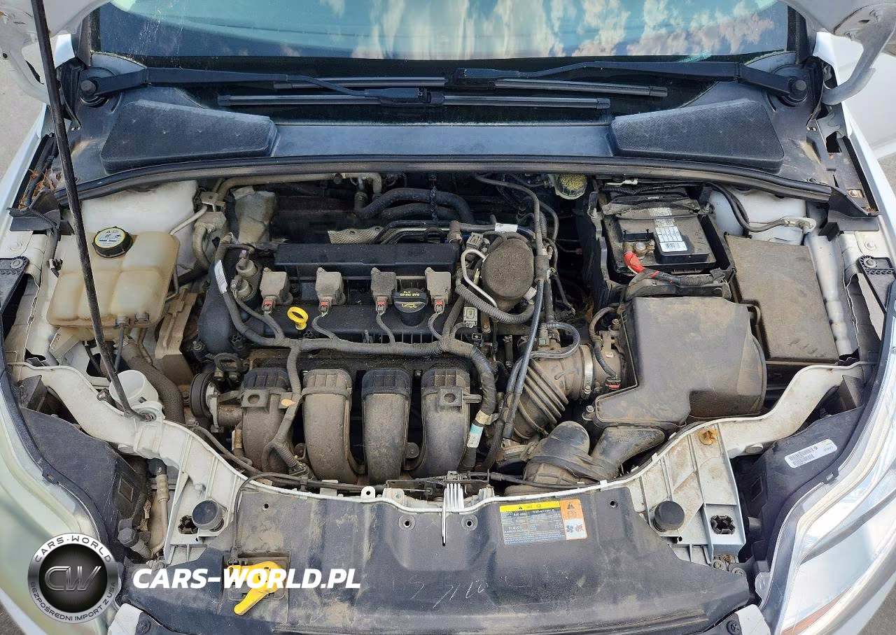 2013 Ford Focus S VIN:1FADP3E28DL200269 - 11