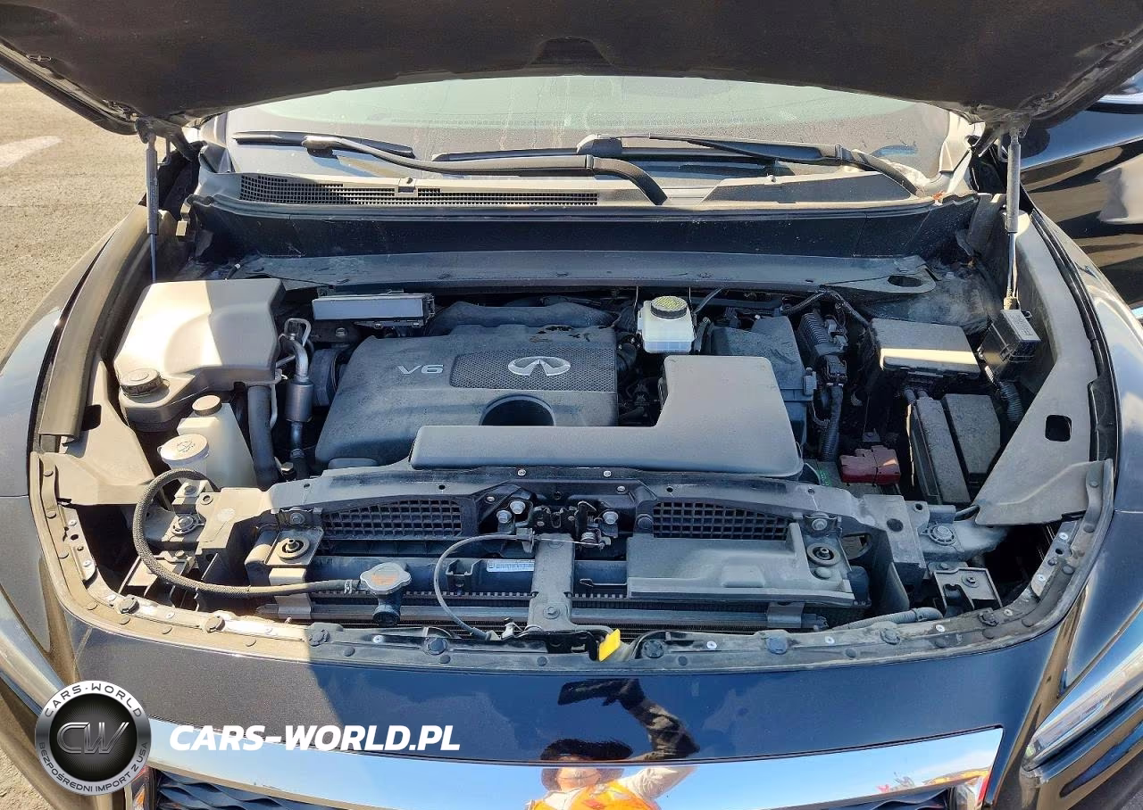2020 Infiniti Qx60 Pure VIN:5N1DL0MN4LC522806 - 12