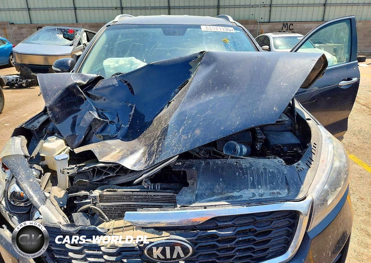 2019 Kia Sorento Lx VIN:5XYPG4A35KG452341 - 12