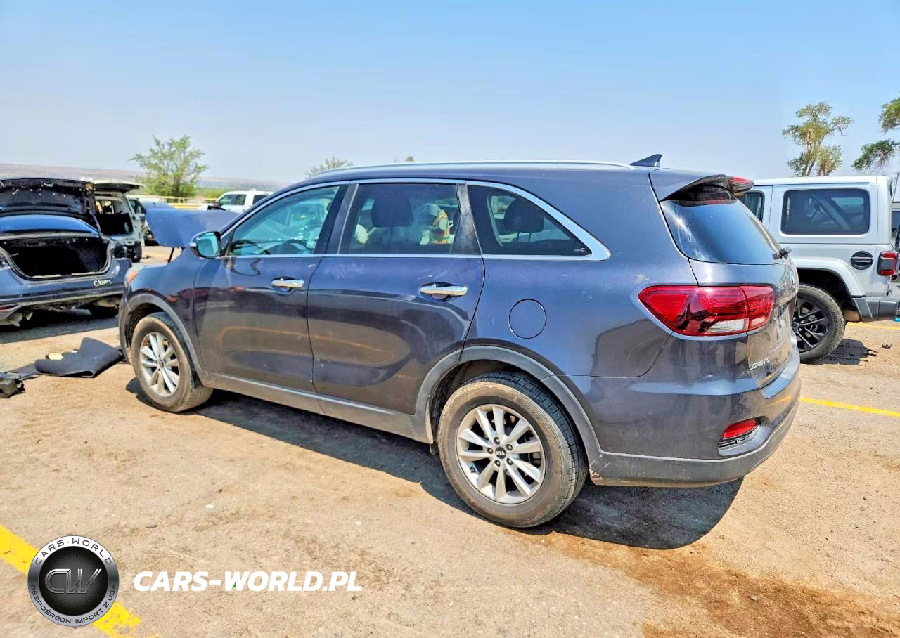 2019 Kia Sorento Lx VIN:5XYPG4A35KG452341 - 2