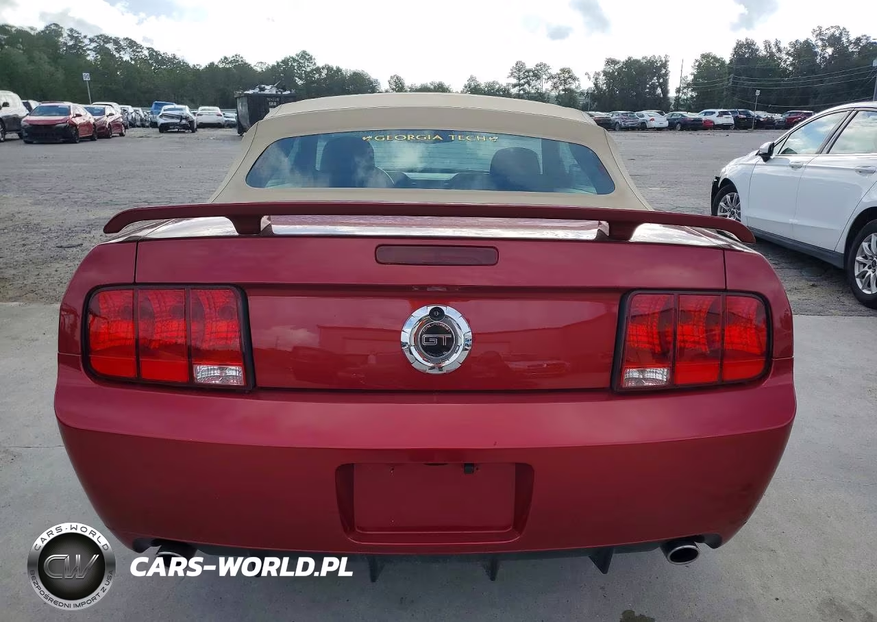 2007 Ford Mustang Gt VIN:1ZVFT85H475347663 - 6