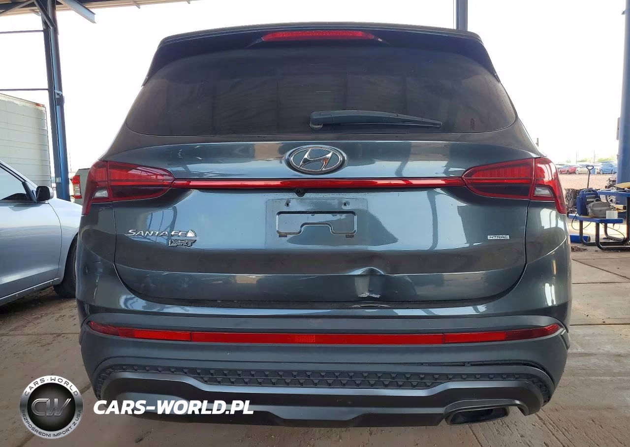 2023 Hyundai Santa Fe Xrt VIN:5NMS6DAJ4PH513736 - 6