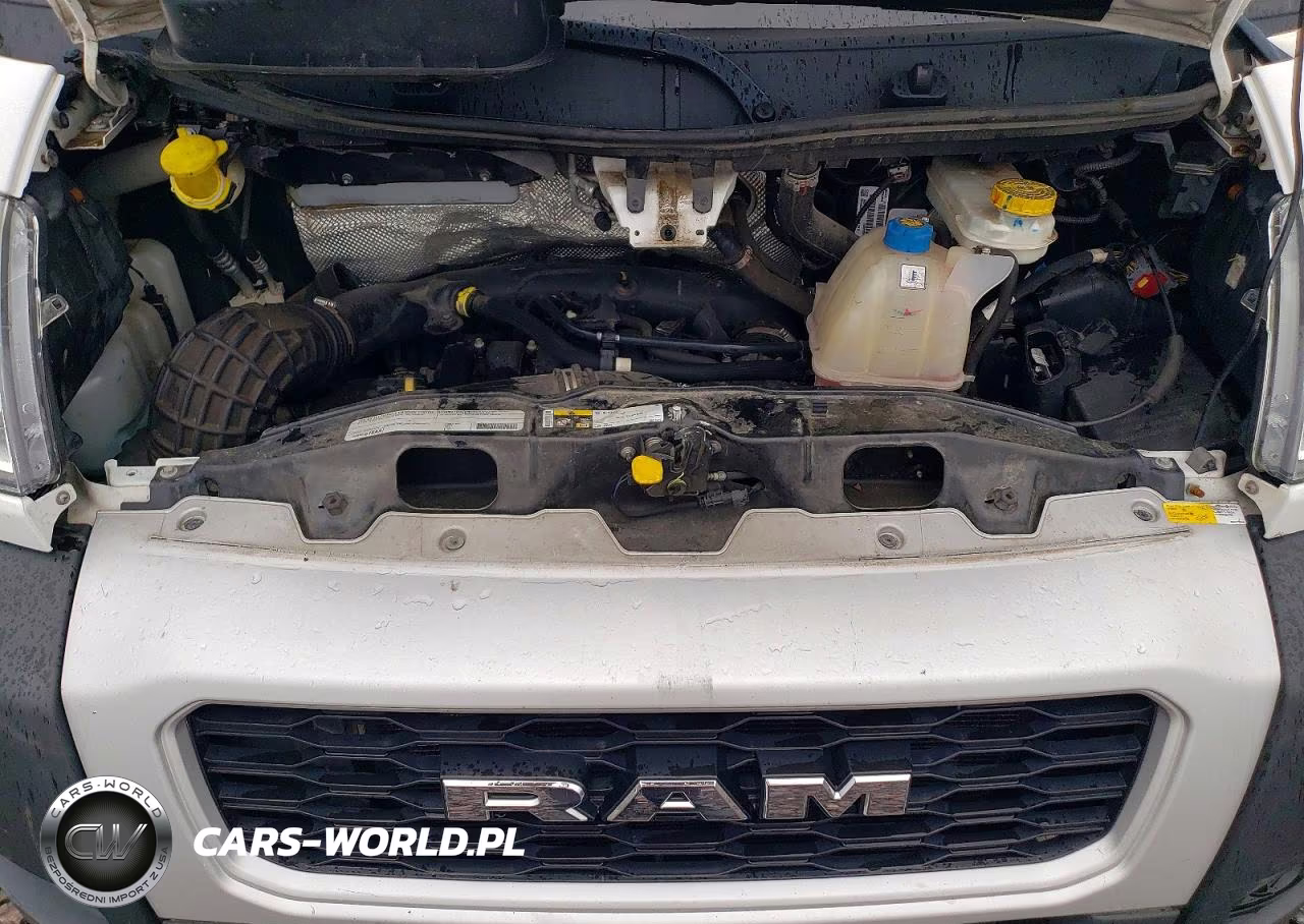 2022 Ram Promaster 2500 2500 High VIN:3C6LRVCG1NE118637 - 12
