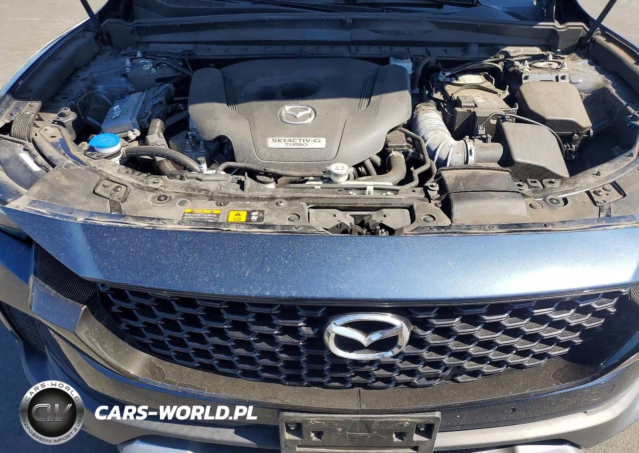 2023 Mazda Cx-50 Premium Plus VIN:7MMVABEY3PN120532 - 11