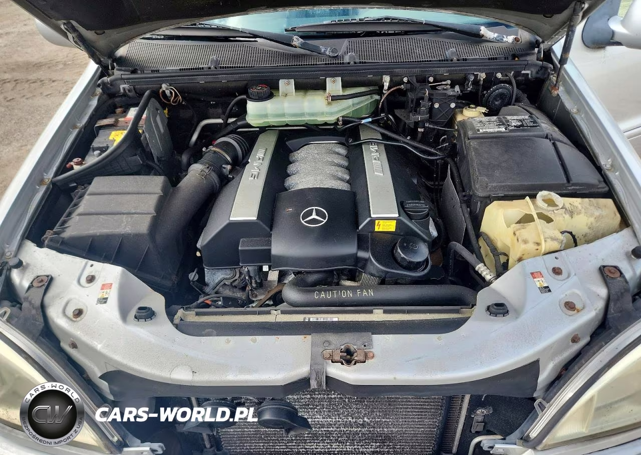 2001 Mercedes-Benz Ml 55 VIN:4JGAB74E61A259189 - 12