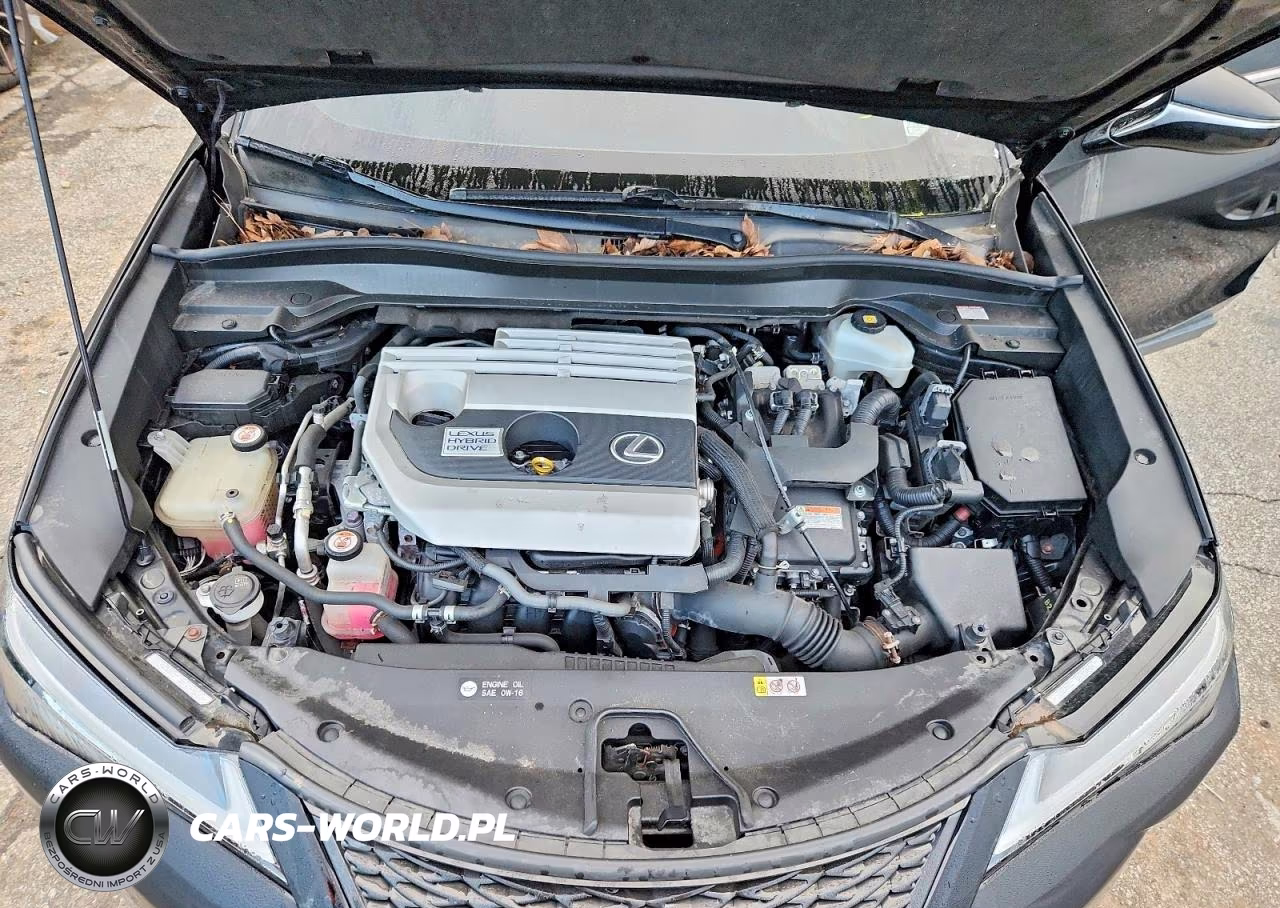 2014 Lexus Ls 460L VIN:JTHGL1EF3E5053065 - 11