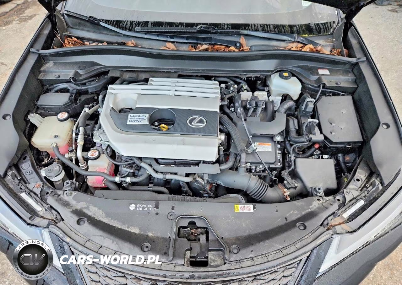 2019 Lexus Ux 250H VIN:JTHU9JBH9K2009897 - 11