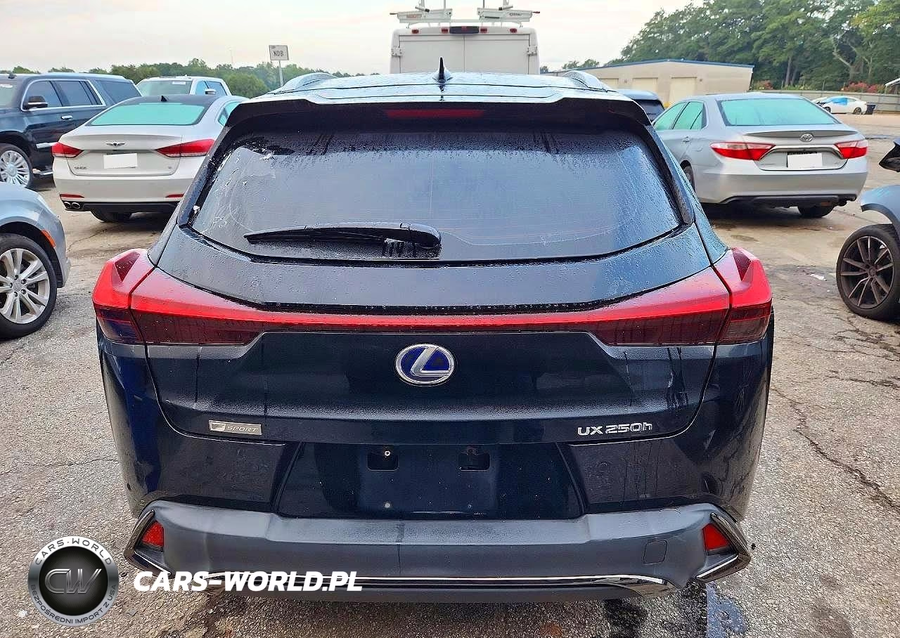 2019 Lexus Ux 250H VIN:JTHU9JBH9K2009897 - 6