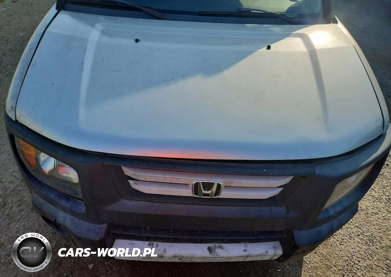 2007 HONDA ELEMENT LX VIN:5J6YH18377L016621 - 12