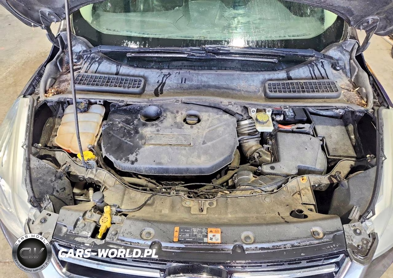 2015 Ford Escape Titanium VIN:1FMCU9J91FUC12843 - 12