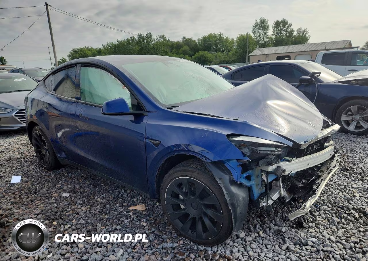 2023 Tesla Model Y VIN:7SAYGAEEXPF779480 - 4
