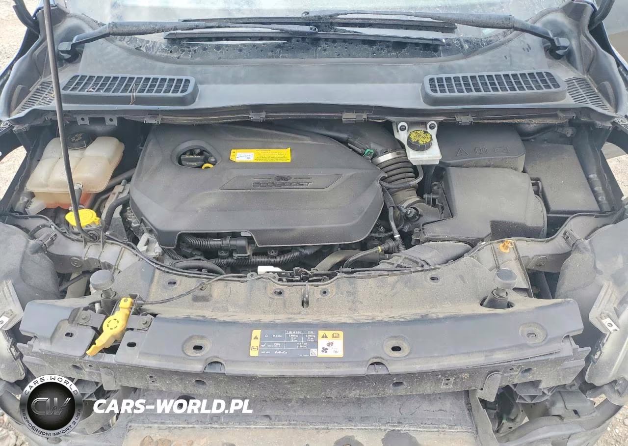 2016 Ford Escape Se VIN:1FMCU0GX3GUC62341 - 11