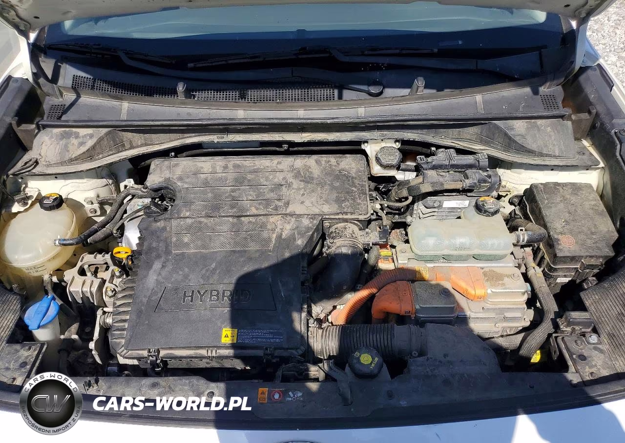 2019 Kia Niro Ex VIN:KNDCC3LCXK5298168 - 11