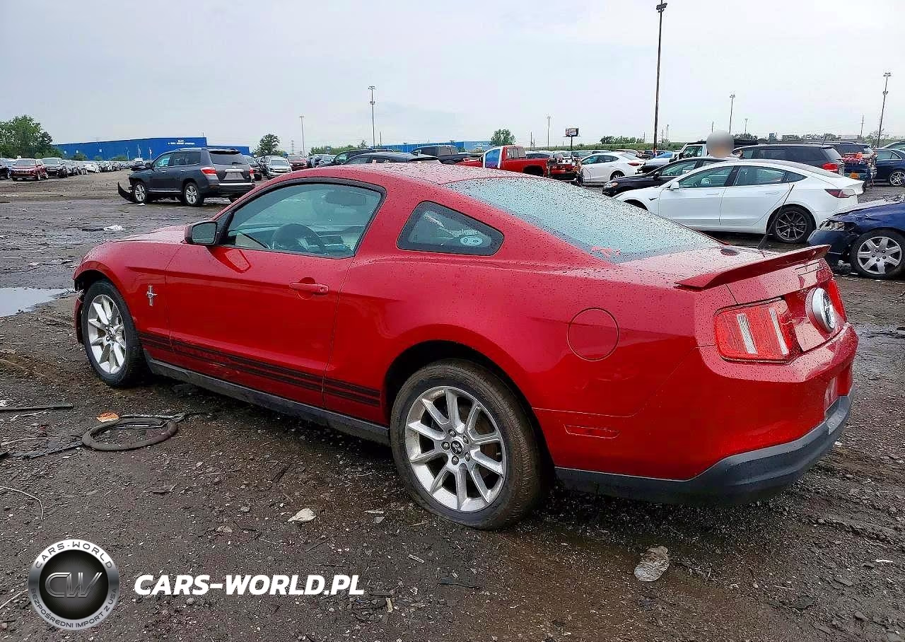 2010 Ford Mustang VIN:1ZVBP8AN4A5152572 - 2