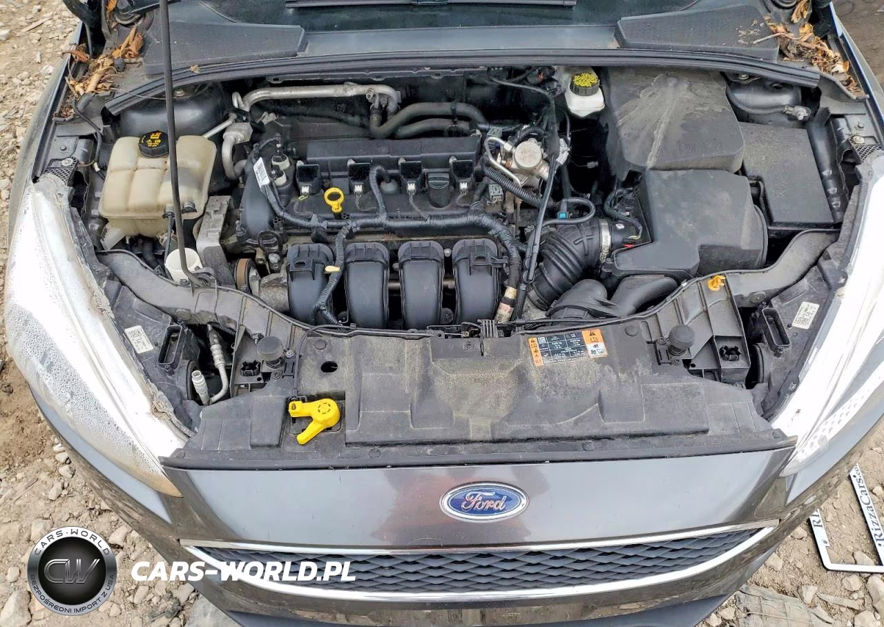2018 Ford Focus Se VIN:1FADP3F20JL266793 - 11