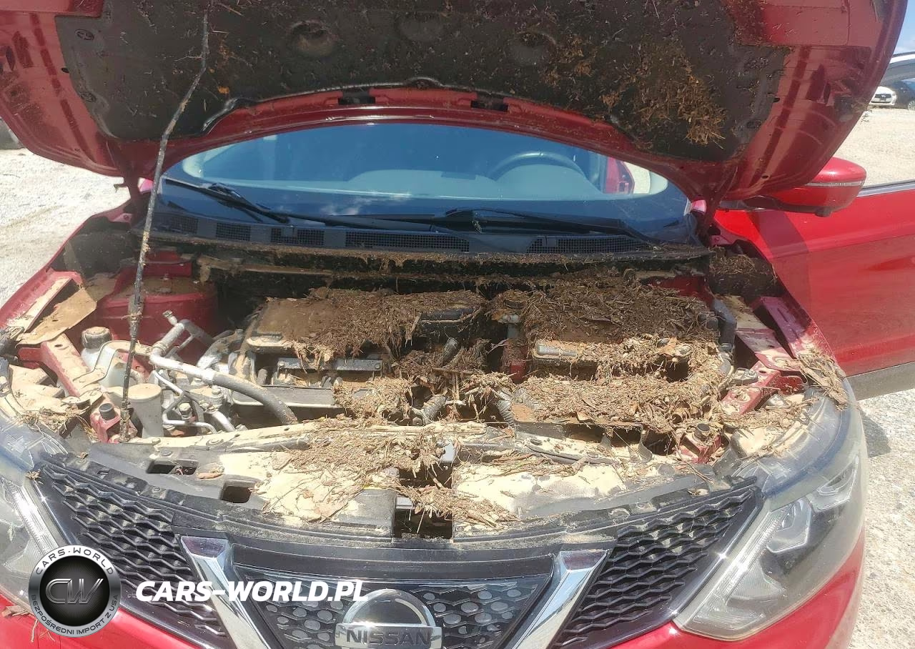 2018 Nissan Rogue Sport Sl VIN:JN1BJ1CR3JW254177 - 11