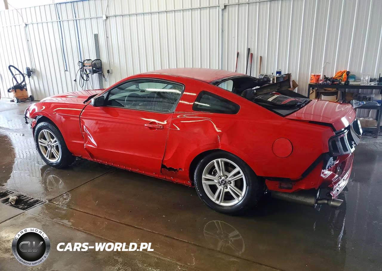 2013 Ford Mustang VIN:1ZVBP8AM3D5263870 - 2