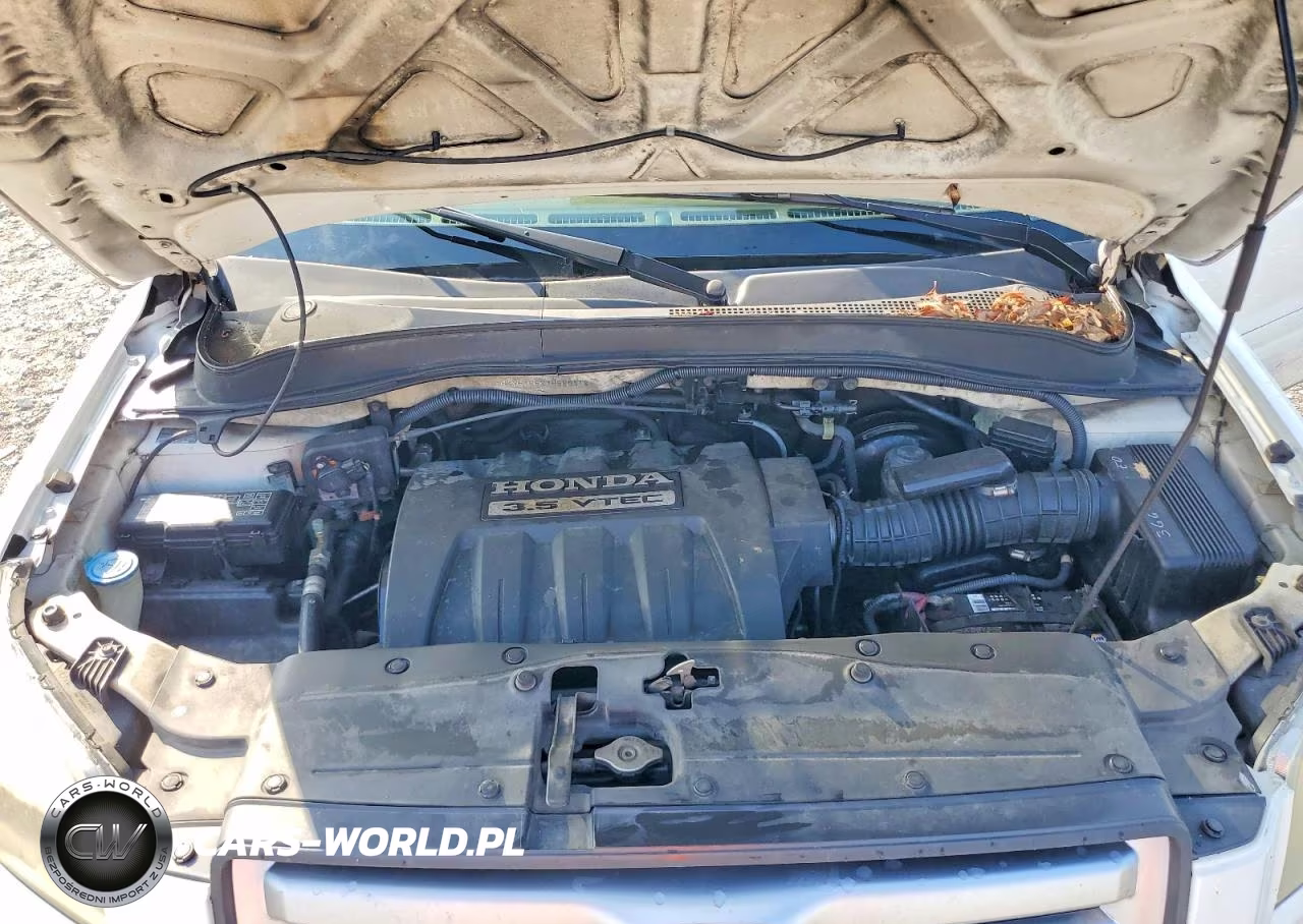 2007 Honda Pilot Exl VIN:2HKYF18527H520012 - 12