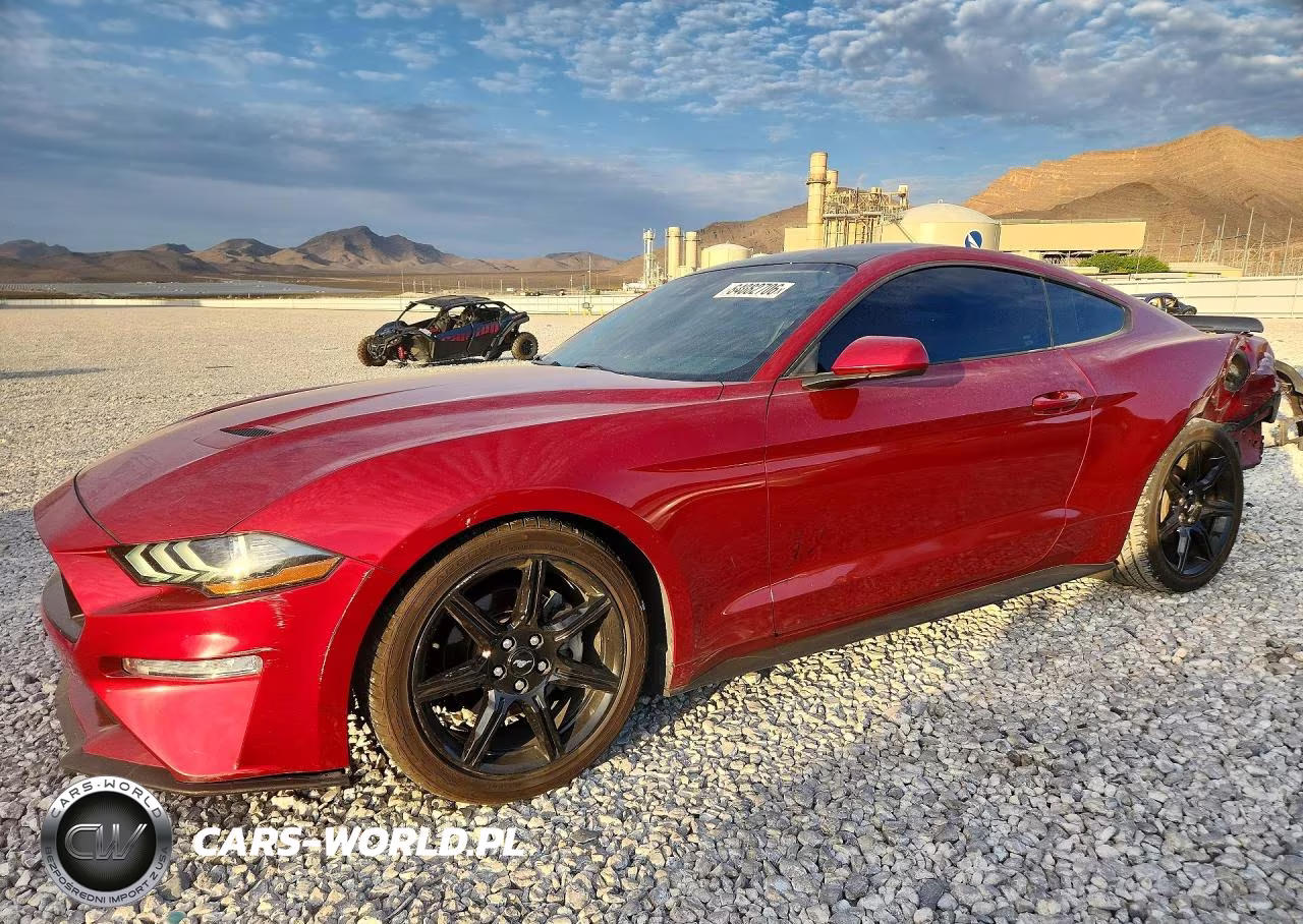 2019 Ford Mustang