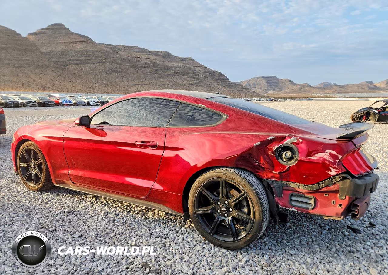 2019 Ford Mustang VIN:1FA6P8TH1K5187704 - 2