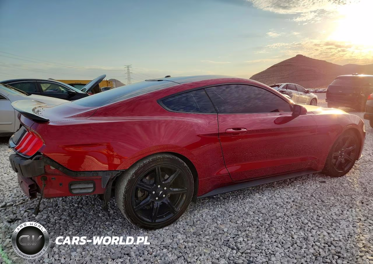 2019 Ford Mustang VIN:1FA6P8TH1K5187704 - 3