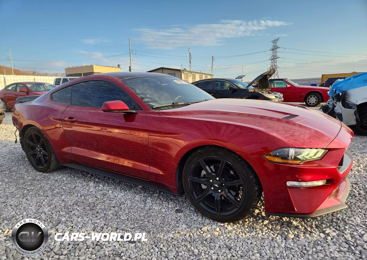2019 Ford Mustang VIN:1FA6P8TH1K5187704 - 4