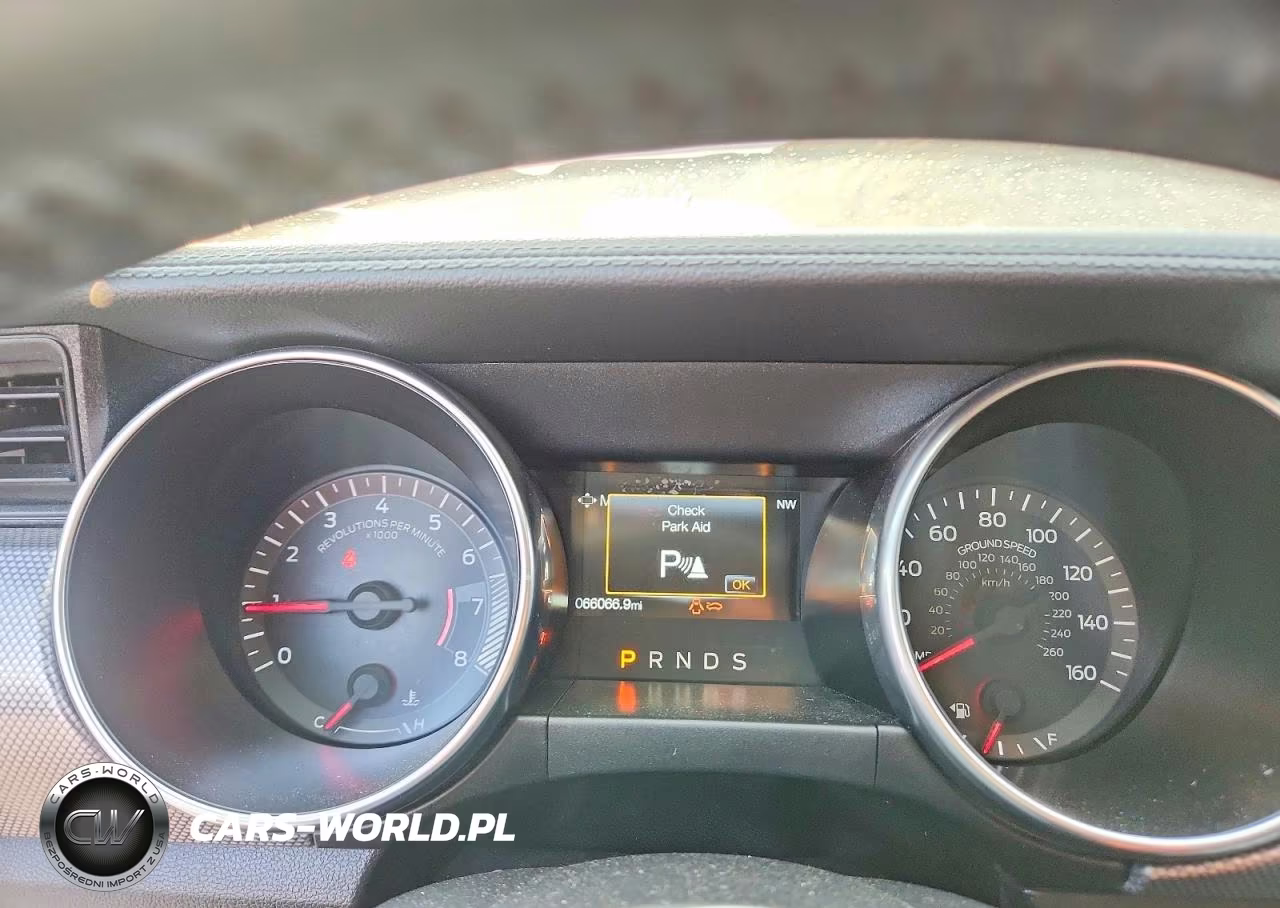 2019 Ford Mustang VIN:1FA6P8TH1K5187704 - 9