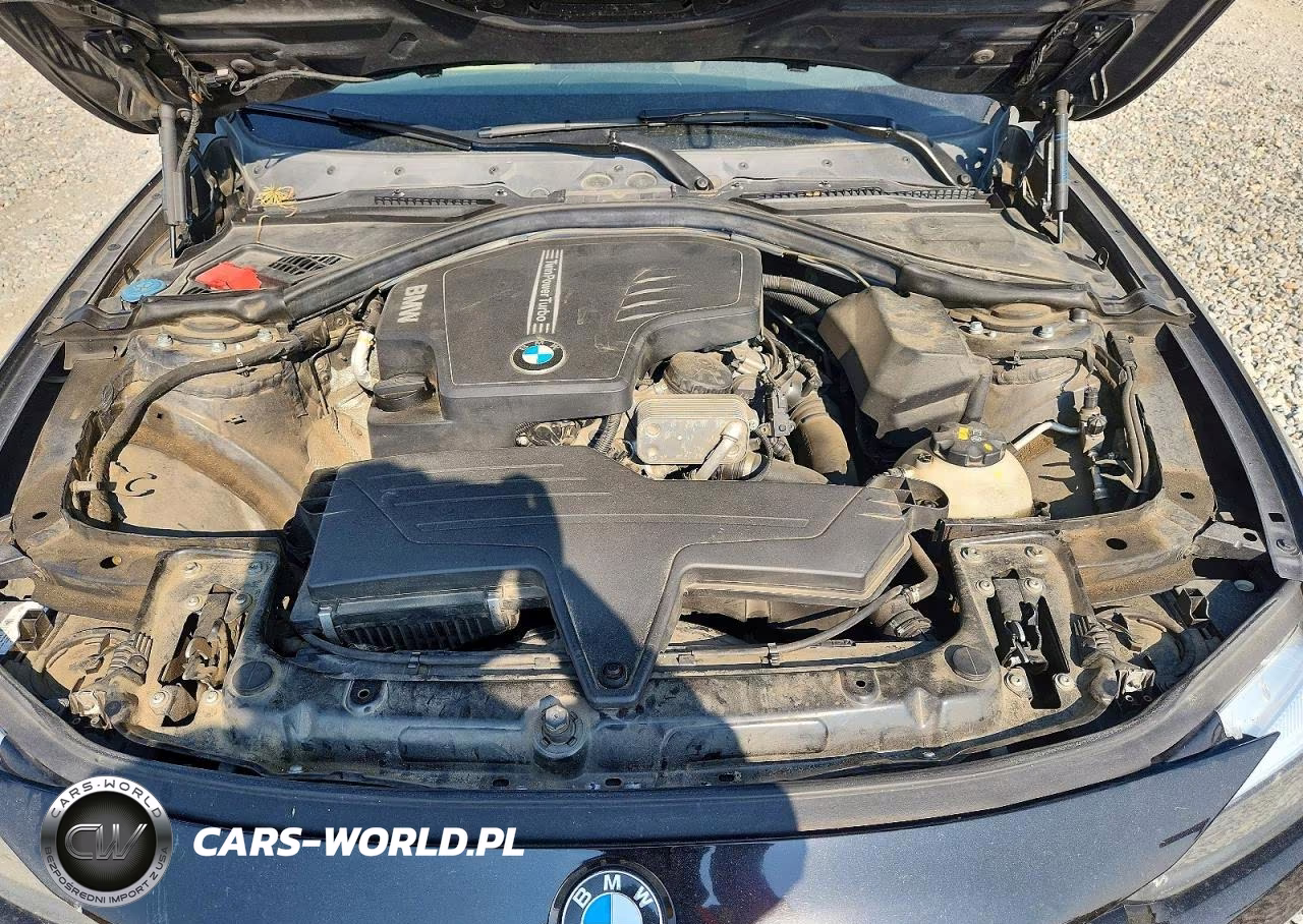 2016 BMW 320 Xi VIN:WBA8E5G54GNU22088 - 11
