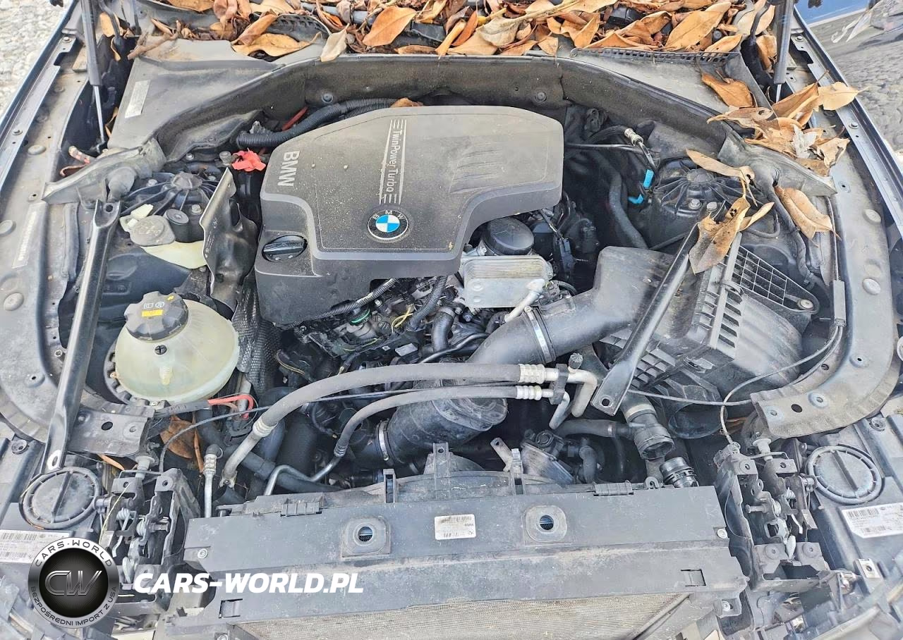 2015 BMW 528 Xi VIN:WBA5A7C51FD620874 - 11