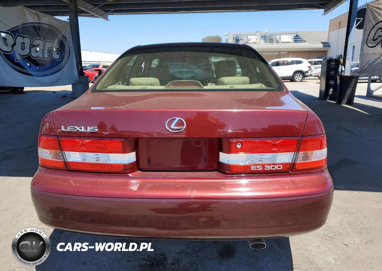 2001 Lexus Es 300 VIN:JT8BF28G410328560 - 6
