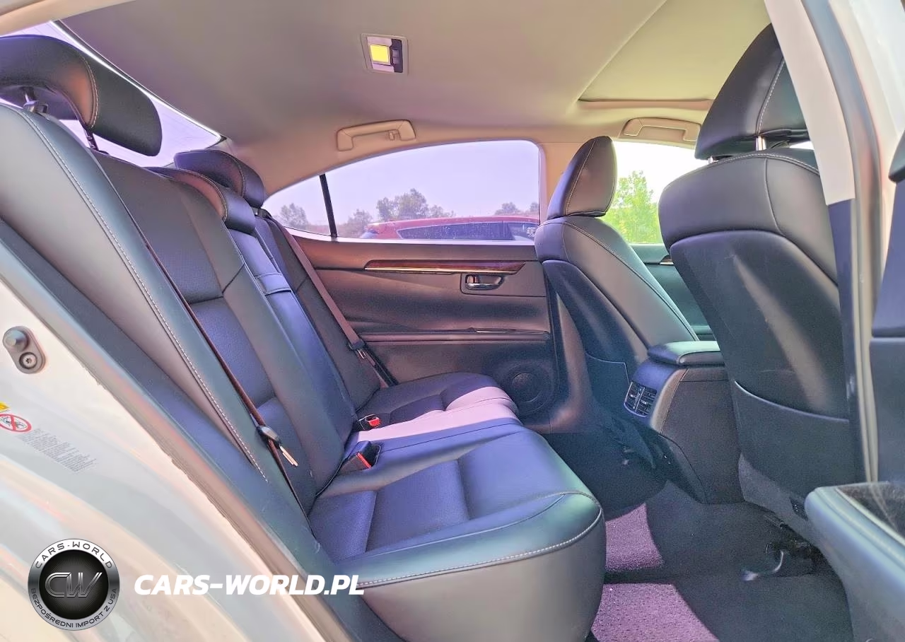 2016 Lexus Es 300H VIN:JTHBW1GG2G2102834 - 10