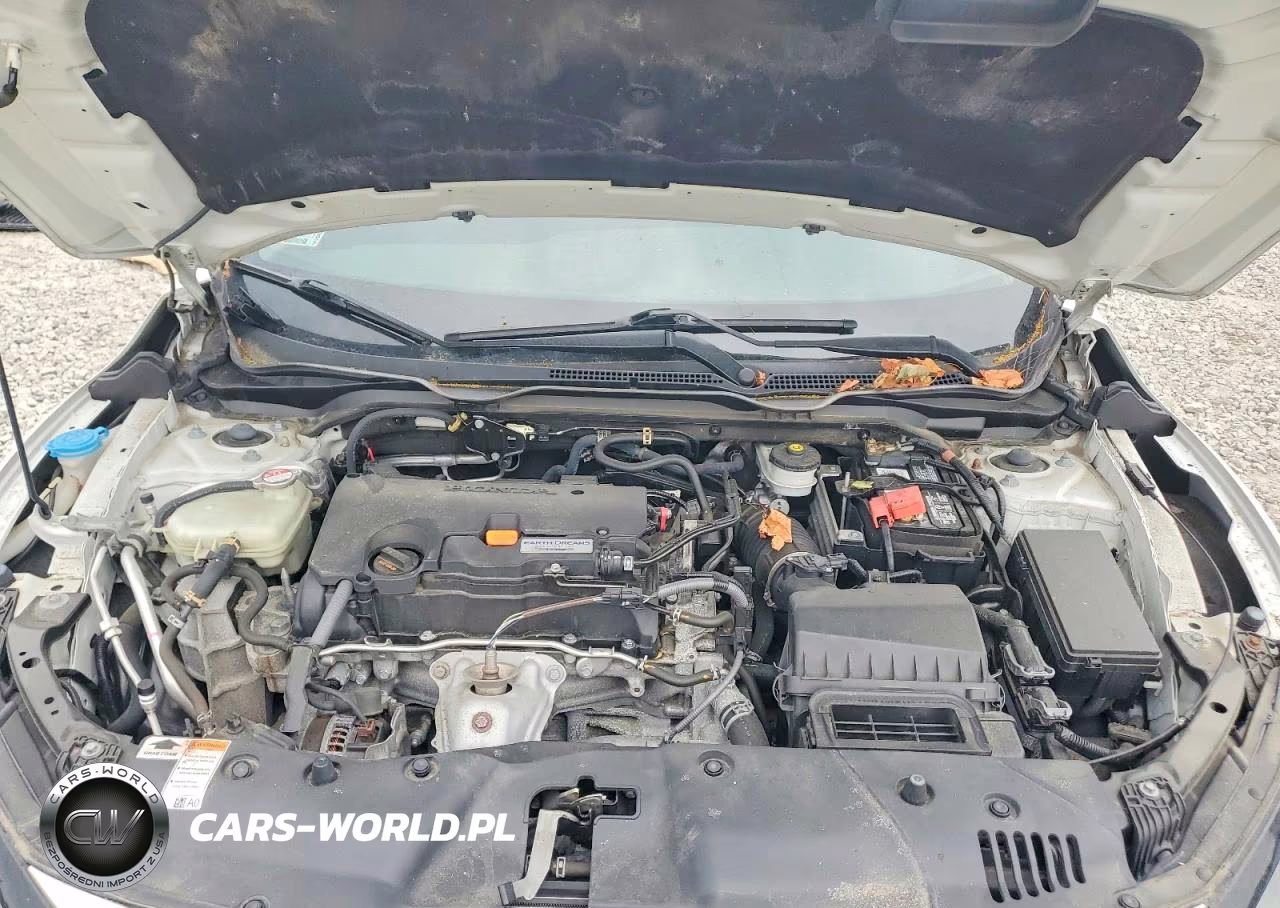 2019 Honda Civic Lx VIN:2HGFC2F60KH526069 - 11