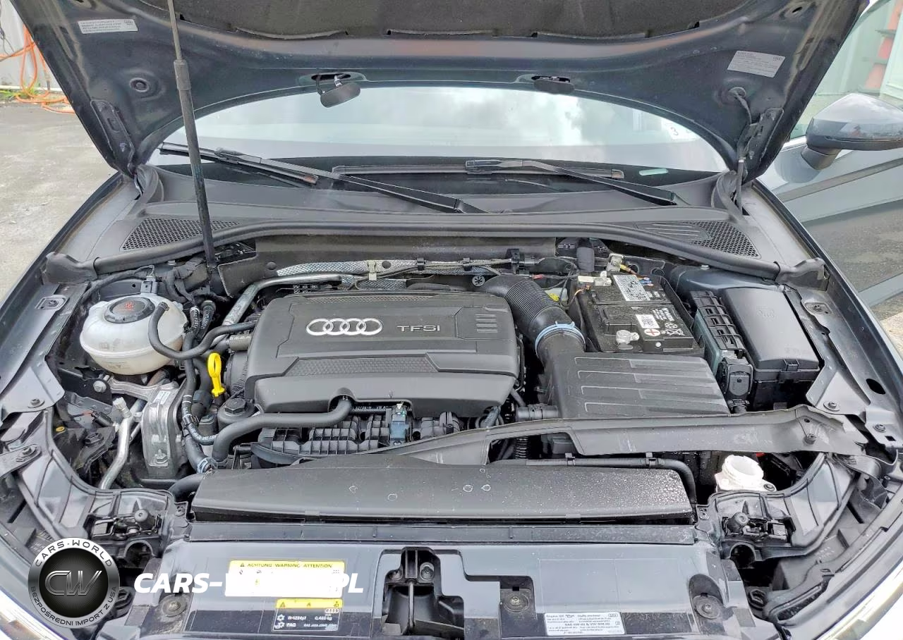 2019 Audi A3 Premium VIN:WAUBEGFFXK1020751 - 11