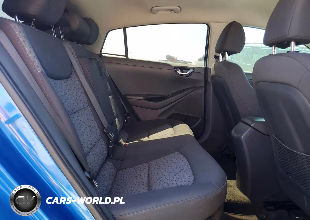 2018 Hyundai Ioniq Sel VIN:KMHC75LC8JU099393 - 10