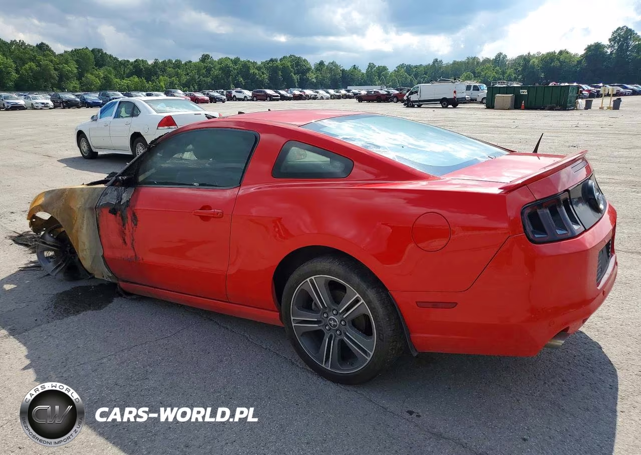 2013 Ford Mustang VIN:1ZVBP8AM4D5267121 - 2