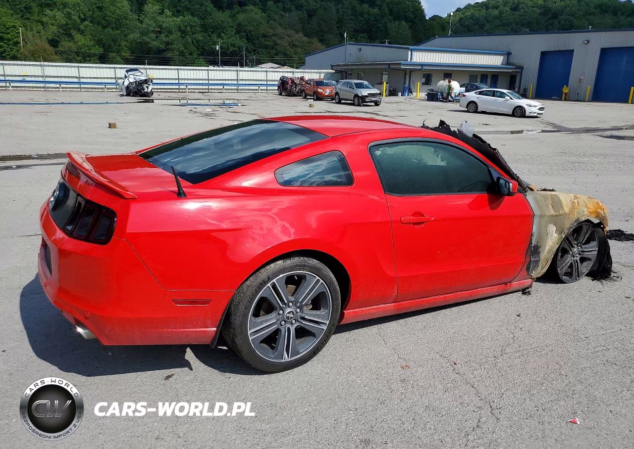 2013 Ford Mustang VIN:1ZVBP8AM4D5267121 - 3