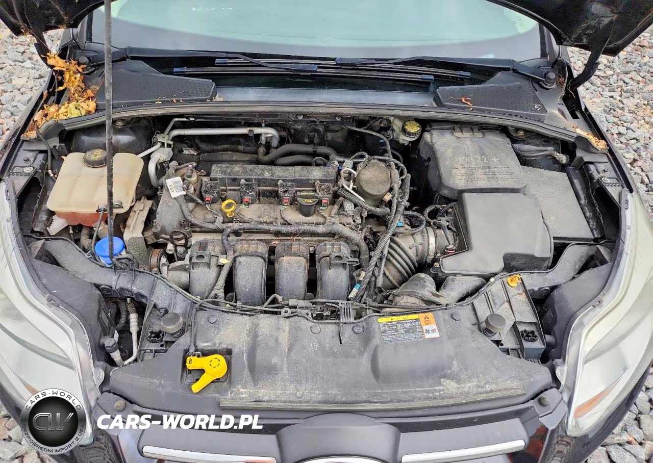 2014 Ford Focus Se VIN:1FADP3F22EL216922 - 11