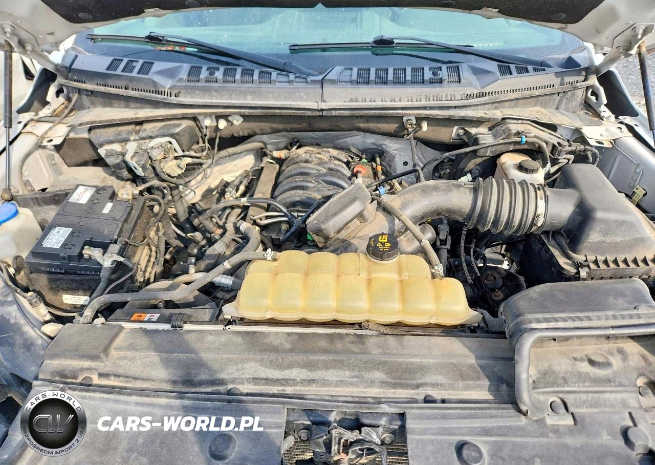 2020 Ford F150 Supercrew VIN:1FTFW1E59LFB56042 - 11