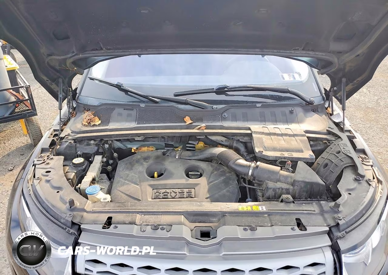 2014 Land Rover Range Rover Evoque Pure Plus VIN:SALVP2BG3EH932928 - 12