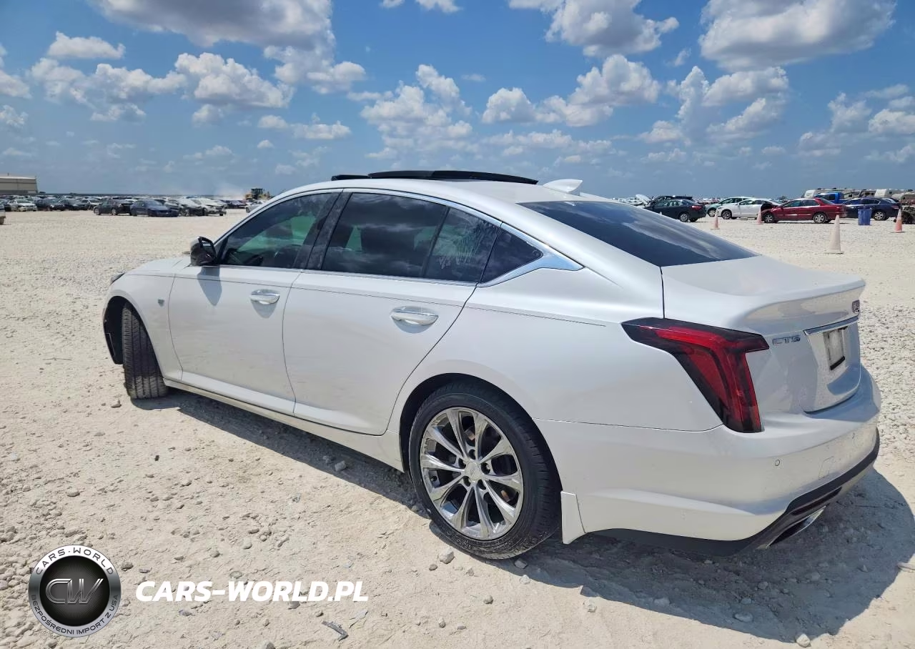 2020 Cadillac Ct5 Premium Luxury VIN:1G6DN5RW0L0143318 - 2