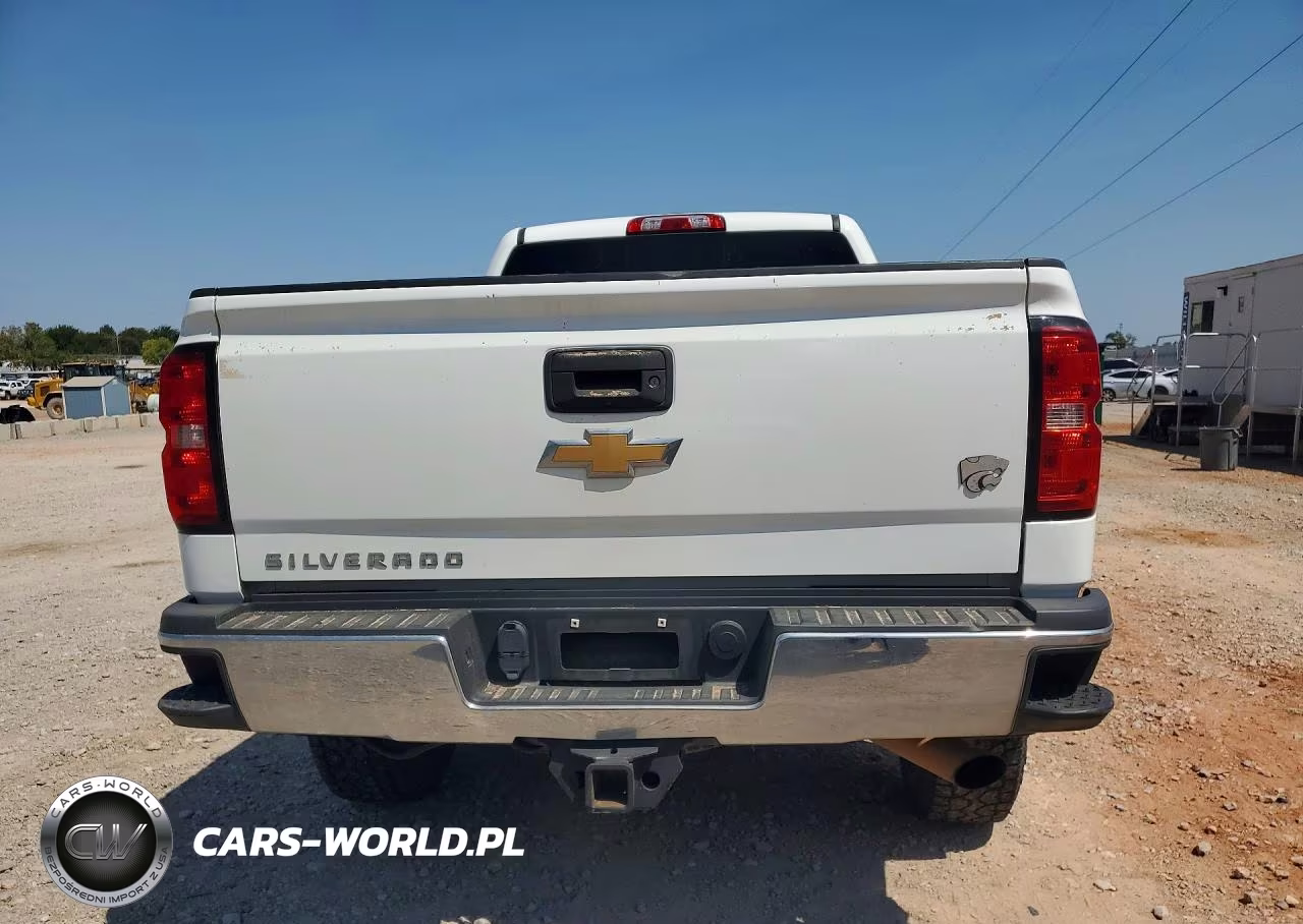 2018 Chevrolet Silverado K2500 Heavy Duty VIN:1GC2KUEG6JZ321568 - 6