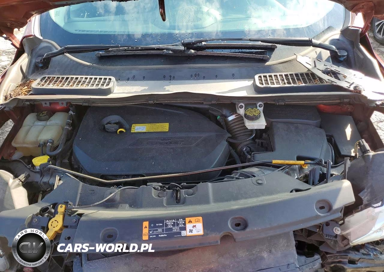 2014 Ford Escape Se VIN:1FMCU9GX2EUC89144 - 12
