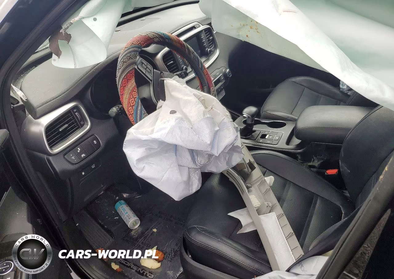 2019 Kia Sorento Ex V6 VIN:5XYPHDA59KG444094 - 7
