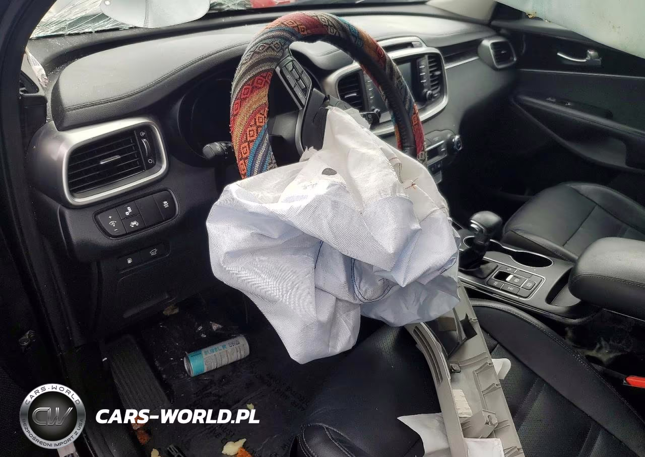 2019 Kia Sorento Ex V6 VIN:5XYPHDA59KG444094 - 8