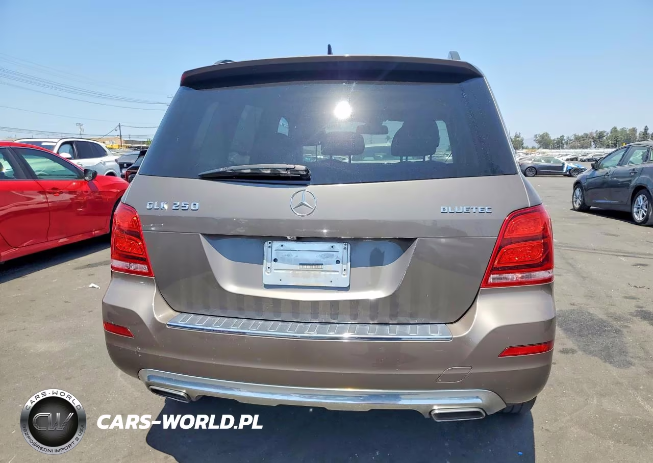 2014 Mercedes-Benz Glk 250 Bluetec VIN:WDCGG0EB3EG270563 - 6