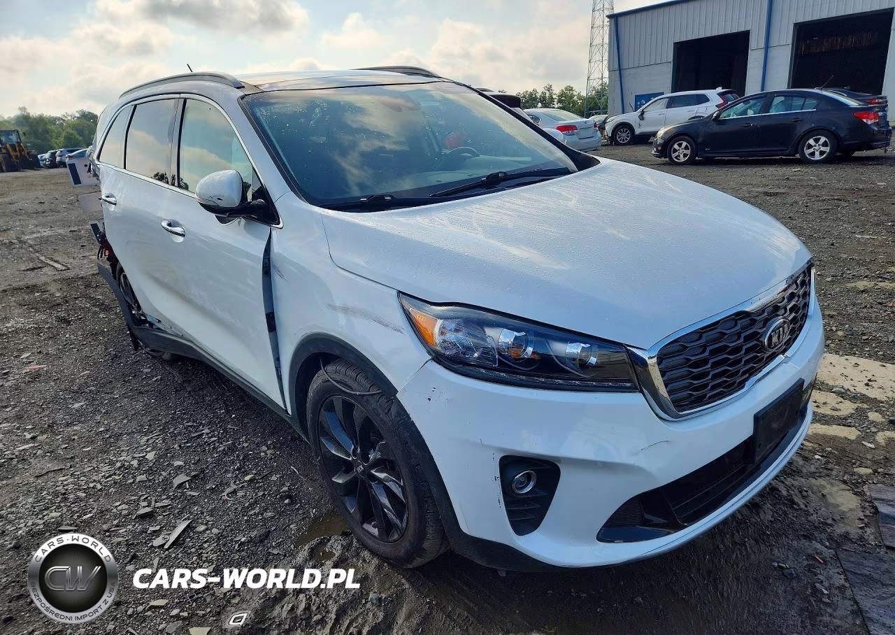 2020 Kia Sorento Ex V6 VIN:5XYPHDA59LG639517 - 4