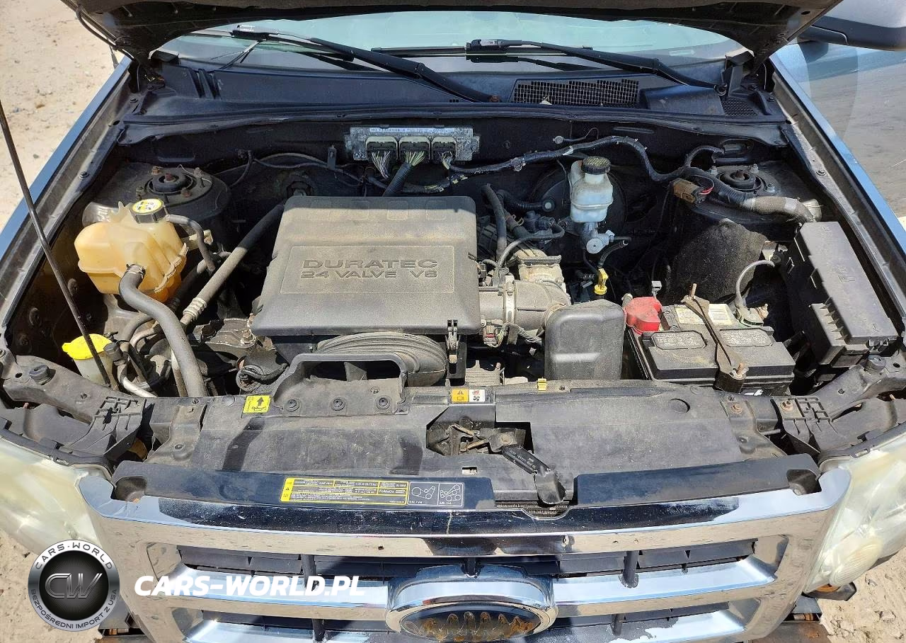 2010 Ford Escape Xlt VIN:1FMCU9DG3AKC61962 - 12